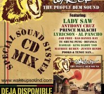 Wake Up 'The people dem sound', CD Mix 100% original