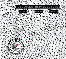 Premier album d'Artillerie de Salopards "Cellules reproductives" disponible le 26 mai 2017