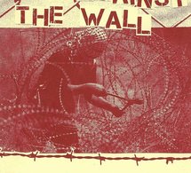 Fanzine + Double CD en soutien au collectif 'Anarchists against the Wall'