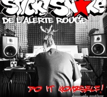 Maxi CD de Sticky Snake (L'Alerte Rouge): 'Do it yourself!'