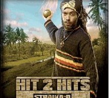 Best of de Straïka D: 'Hit 2 Hits'