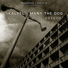 Le-EP-Le-blues-de-l-instant-de-Skalpel-x-Many-the-Dog-disponible-en-Digital_a407.html